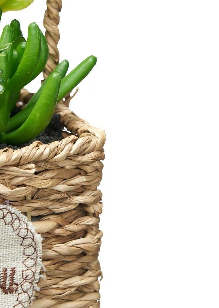 Ibergarden, sztuczne sukulenty w plecionym koszyku, love, 12-21 cm
