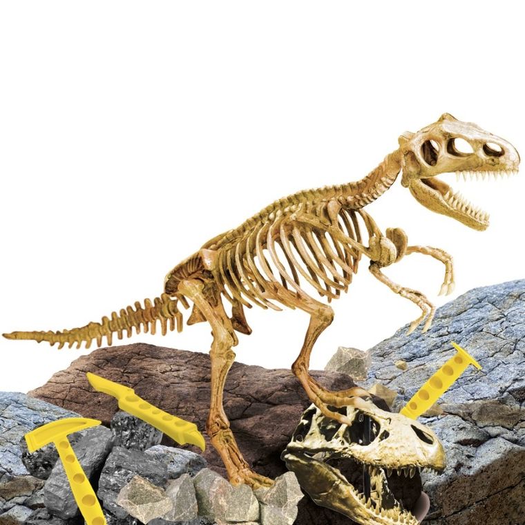 I'm a Genius, Superkit, T-Rex, zestaw edukacyjny