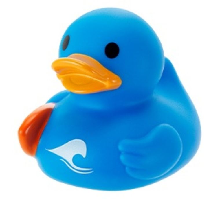 Infantino, kaczka kąpielowa, surfer, zabawka do kąpieli