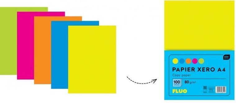 Interdruk, papier xero A4, kolorowy, 80g, 100 arkuszy