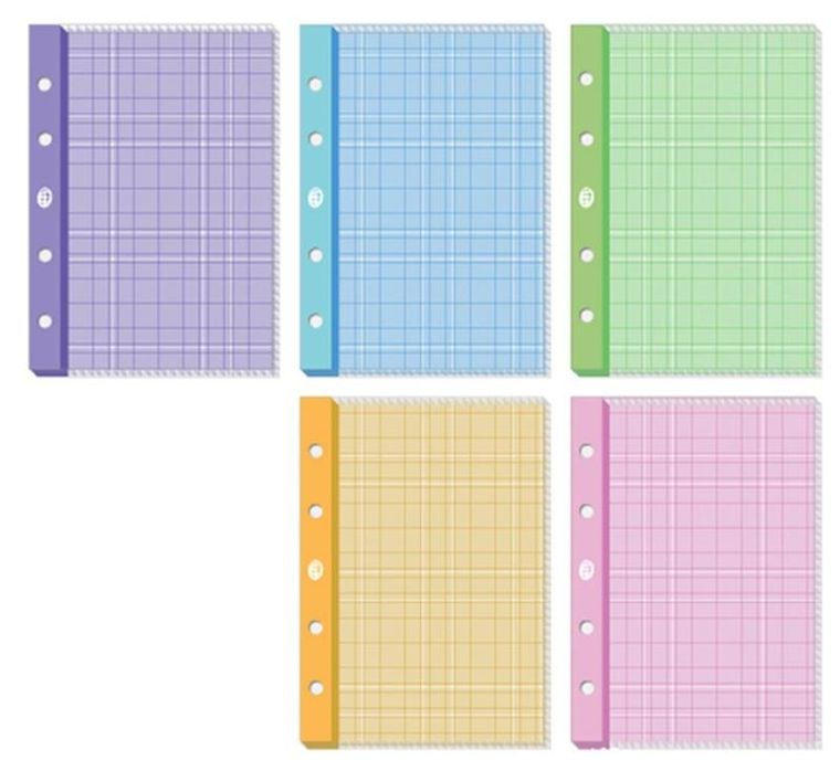 Interdruk, wkład do segregatora, A4, kratka, 50 kartek