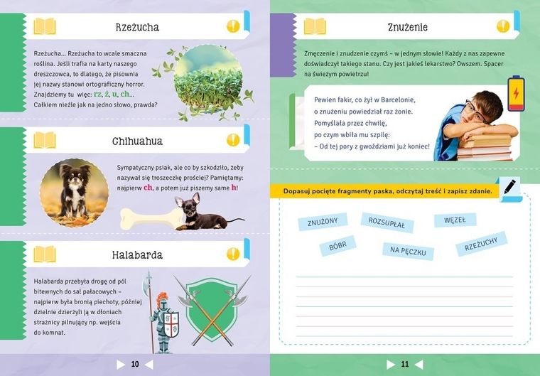 Jak opanować 100 przerażających nas słów. Ortografia z wykrzyknikiem