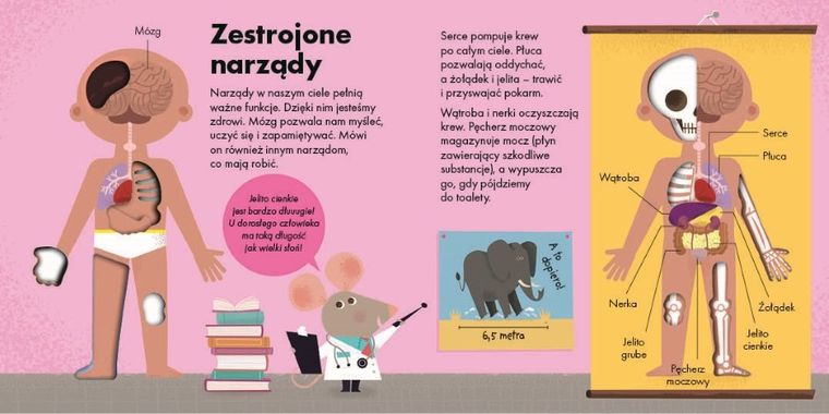 Jak to działa. Ciało