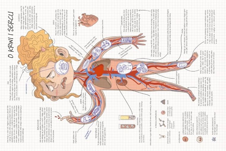 Jak to działa? Ciało człowieka