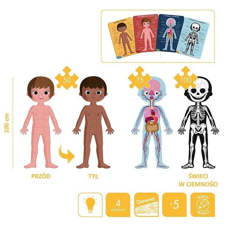 Janod, Ciało człowieka, puzzle 3w1, 50, 75 i 100 elementów