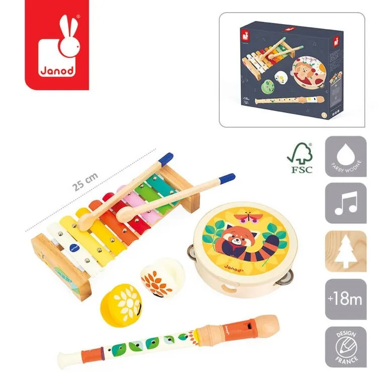 Janod, Gioia, zestaw zabawek muzycznych, 18m+