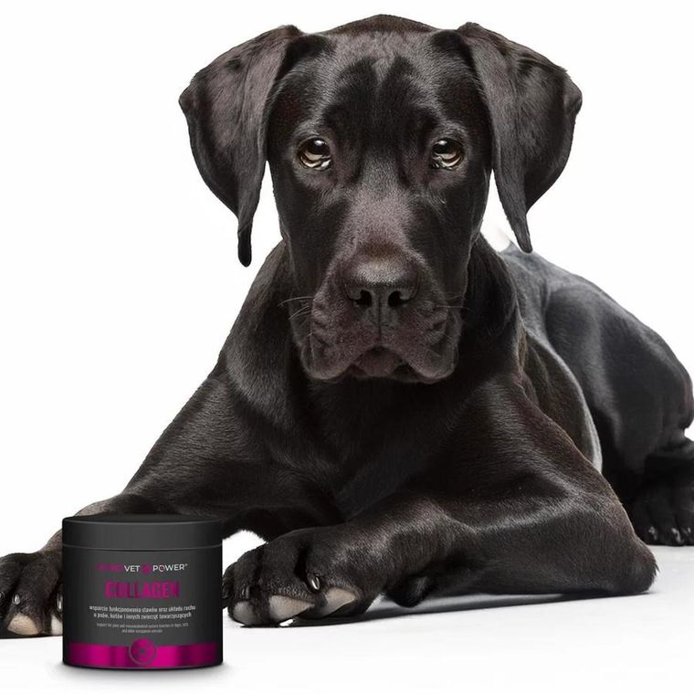 JM Sante, Monovet Power Collagen, kolagen dla psów i kotów, 120g