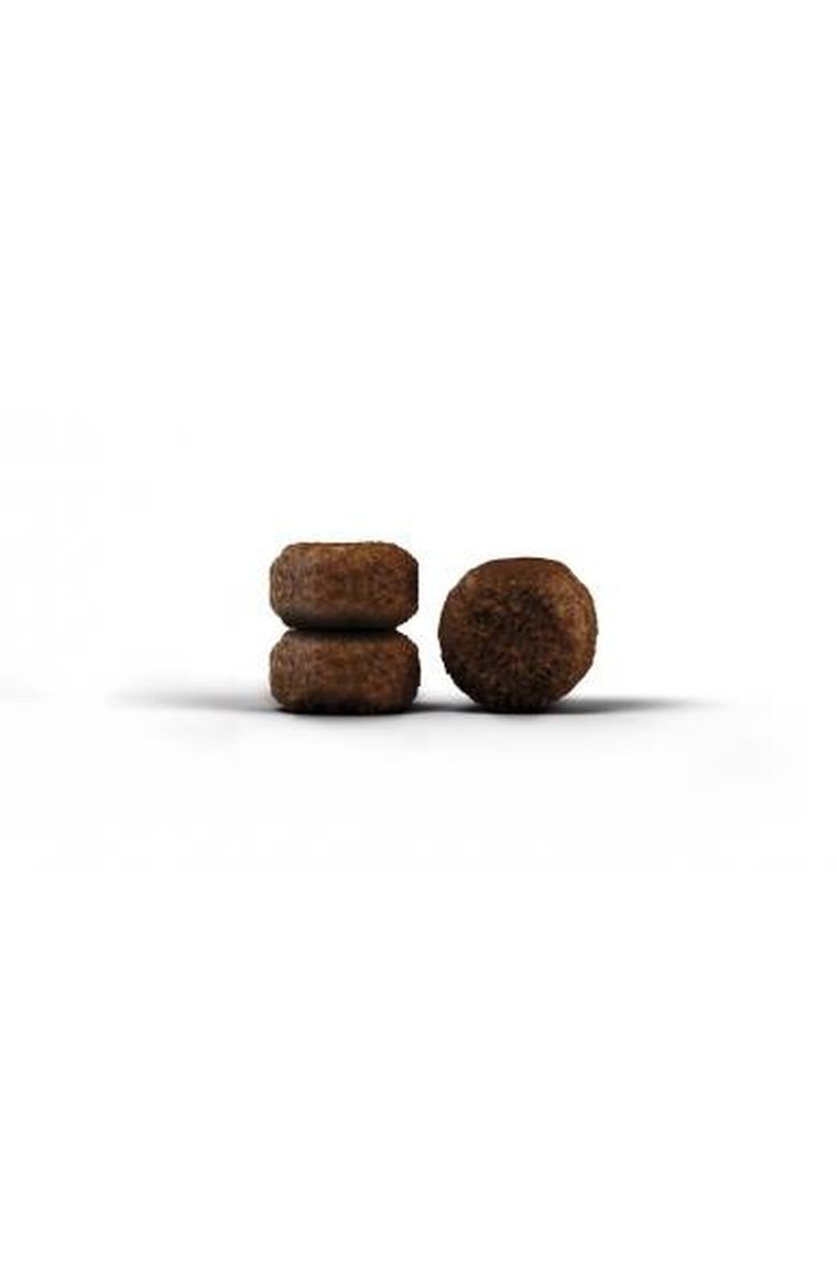 Josera, Senior, sucha karma dla kota, 10 kg
