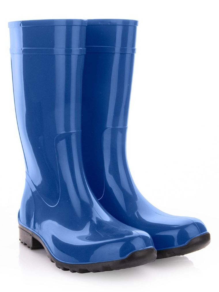 Kalosze damskie, niebieskie, Ilse, Lemigo