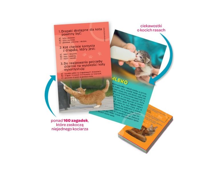 Kapitan Nauka. Quiz. Koty