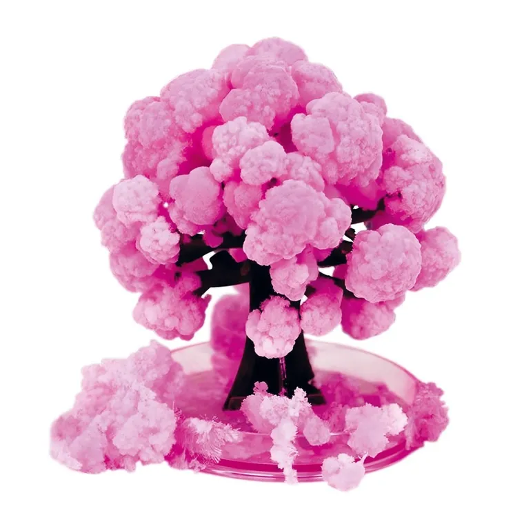 Kidea, kwitnące drzewo sakura, zestaw edukacyjny