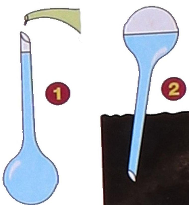 Kinzo, automatyczna konewka, 250 ml, fiolet