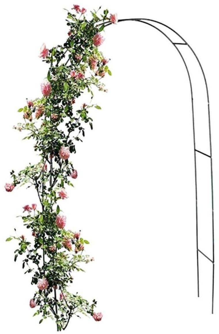 Kinzo, pergola na róże