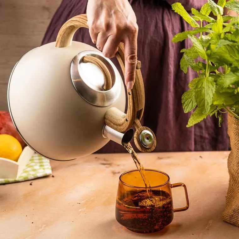 Klausberg, czajnik z gwizdkiem, stalowy, 2,5l, KB-7913