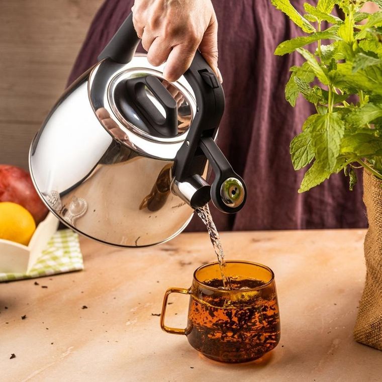 Klausberg, czajnik z gwizdkiem, stalowy, 2,5l, KB-7914