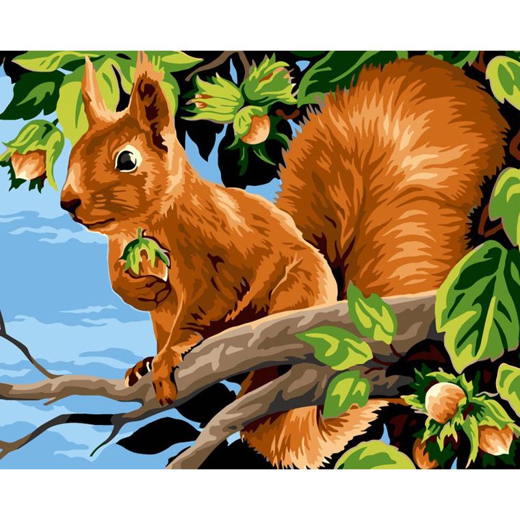 Koh-i-Noor, malowanie po numerach, Wiewiórka z orzechami, 40-50 cm
