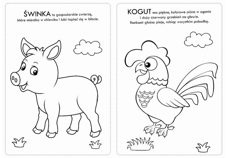 Kolorowanka z naklejkami. Zwierzaczki wiejskie