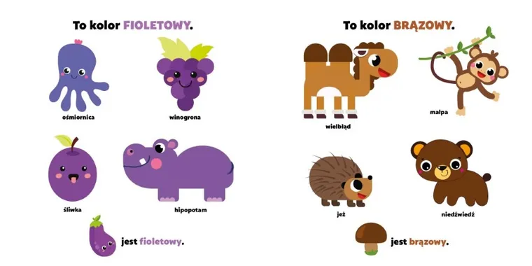 Kolory. Maluch poznaje