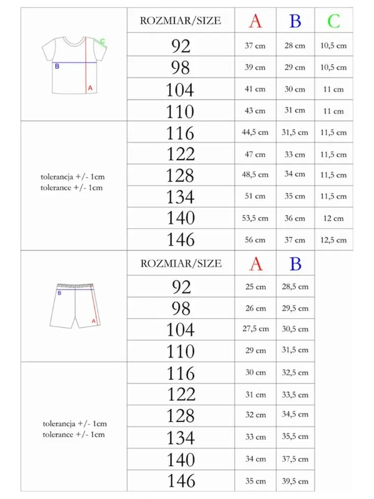 Komplet chłopięcy, Bluzka z krótkim rękawem, Szorty, mix, Nicol