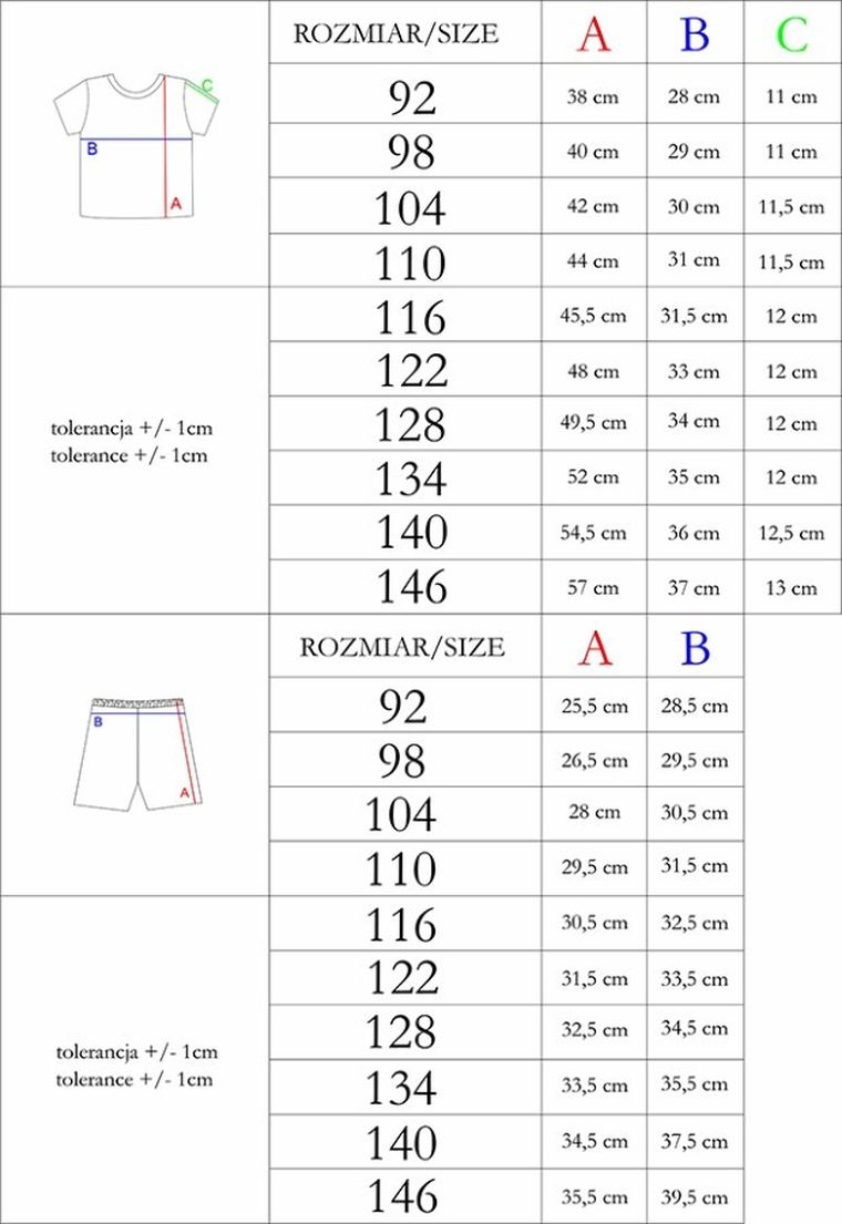 Komplet chłopięcy, T-shirt, Szorty, mix, Nicol