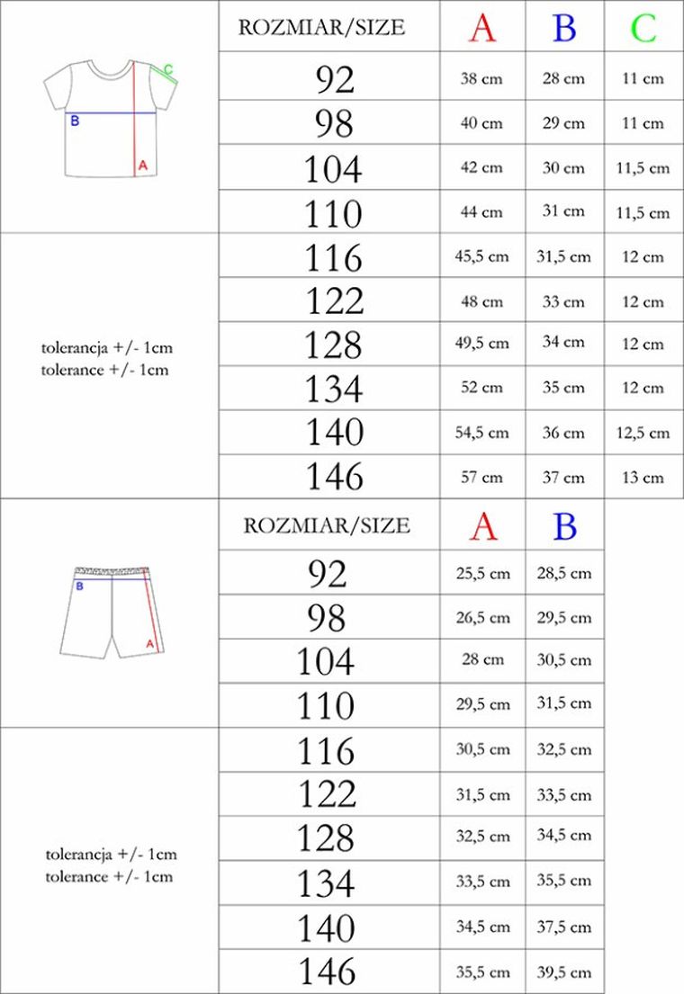 Komplet chłopięcy, T-shirt, Szorty, mix, Nicol