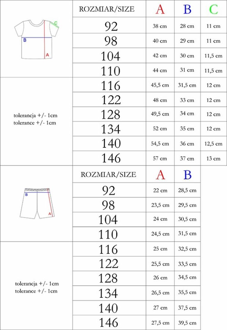 Komplet chłopięcy, T-shirt, Szorty, mix, Nicol