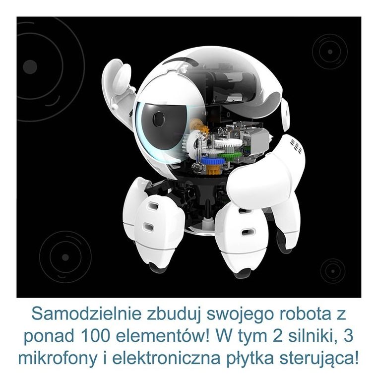 Kosmos, Bitsy, robot interaktywny, zestaw edukacyjny