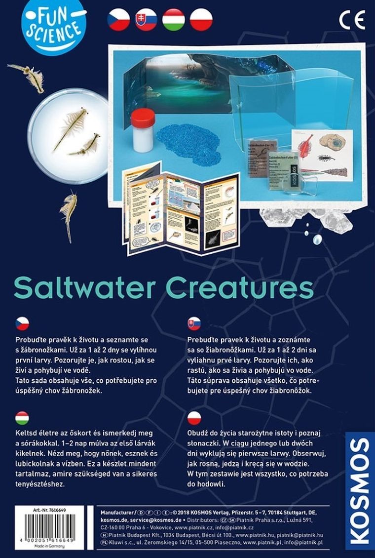 Kosmos, Fun Science, Słonowodne Stwory, zestaw edukacyjny