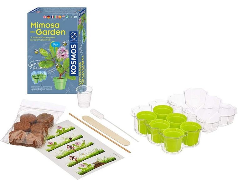 Kosmos, Mimozowy Ogród, zestaw edukacyjny