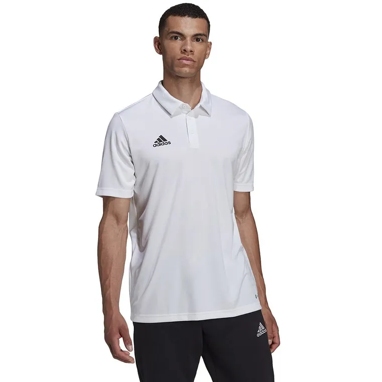 Koszulka polo męska z krótkim rękawem, biała, Adidas Entrada 22 Polo