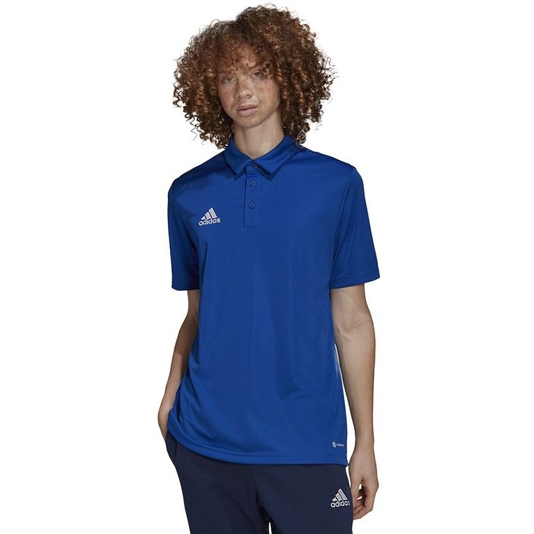 Koszulka polo męska z krótkim rękawem, niebieska, Adidas Entrada 22 Polo