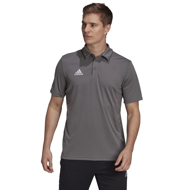 Koszulka polo męska z krótkim rękawem, szara, Adidas Entrada 22 Polo