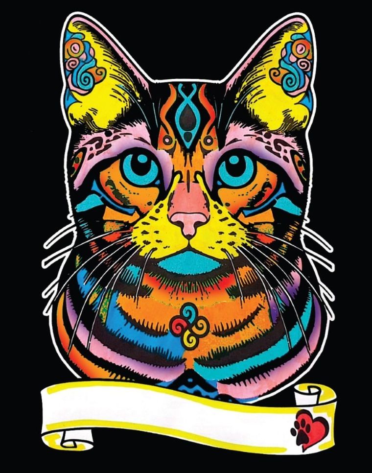 Kot Europejski. Kolorowanka welwetowa A4