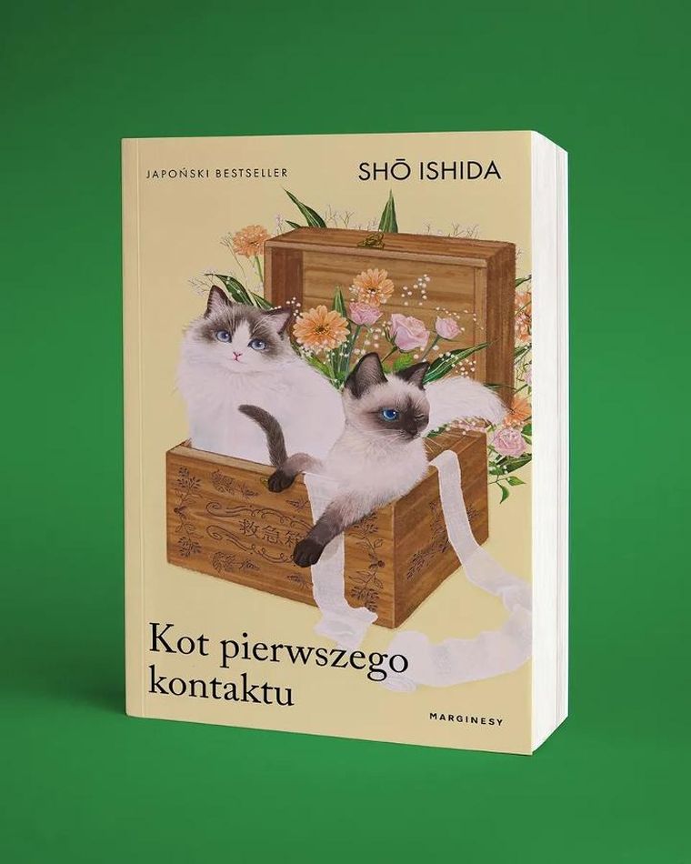 Kot pierwszego kontaktu