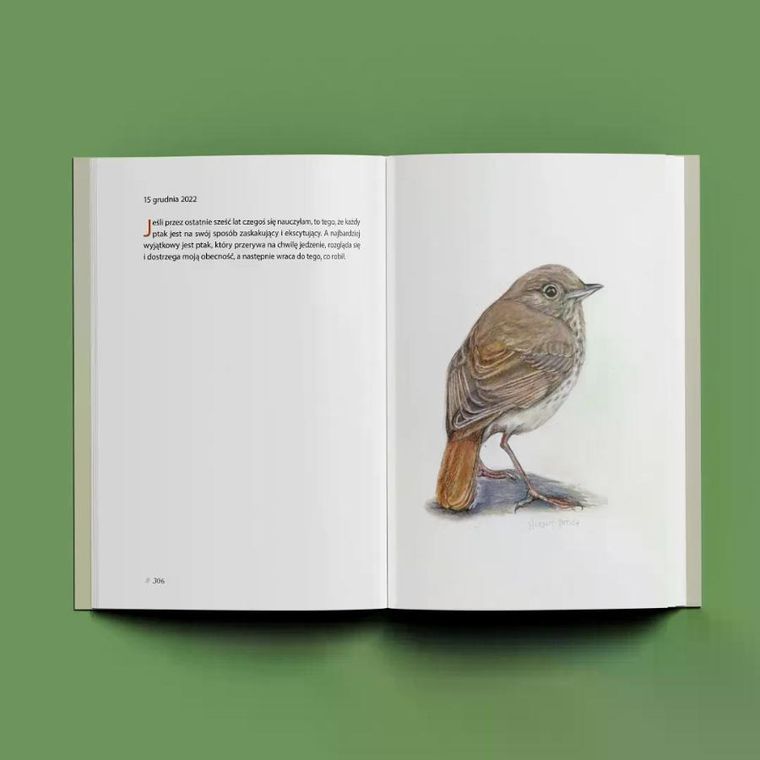 Kroniki ptaków z podwórka