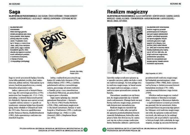 Krótka historia powieści