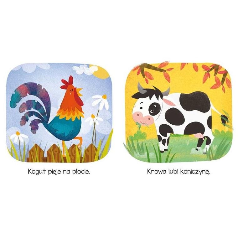 Kto tu mieszka? Na wsi