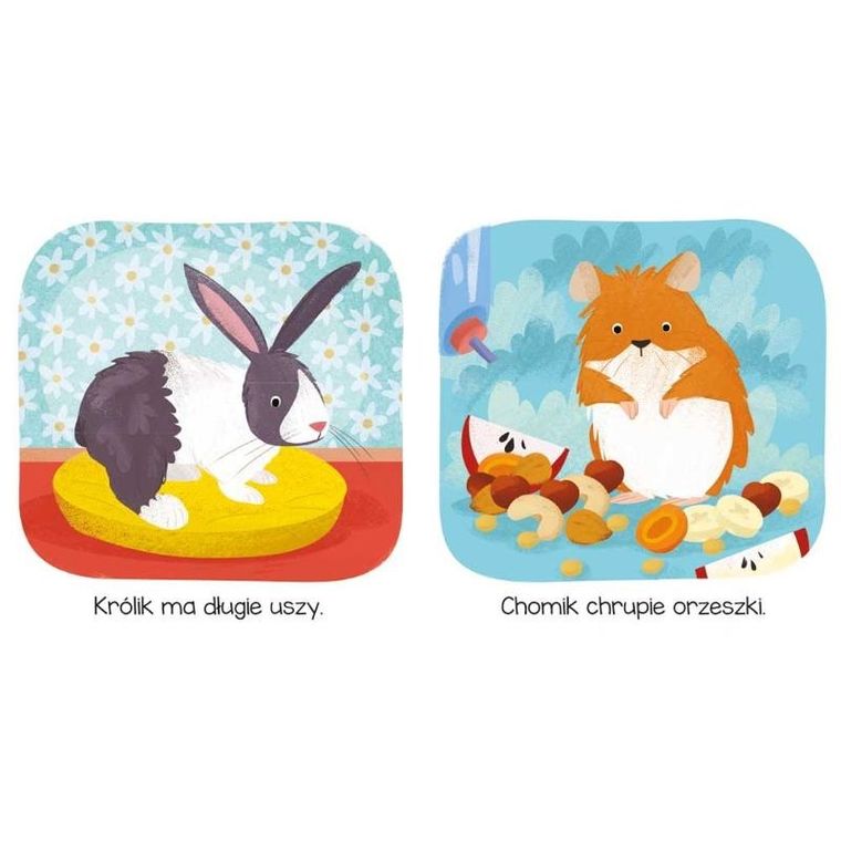 Kto tu mieszka? W domu