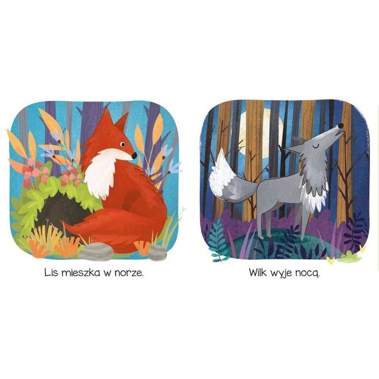 Kto tu mieszka? W lesie