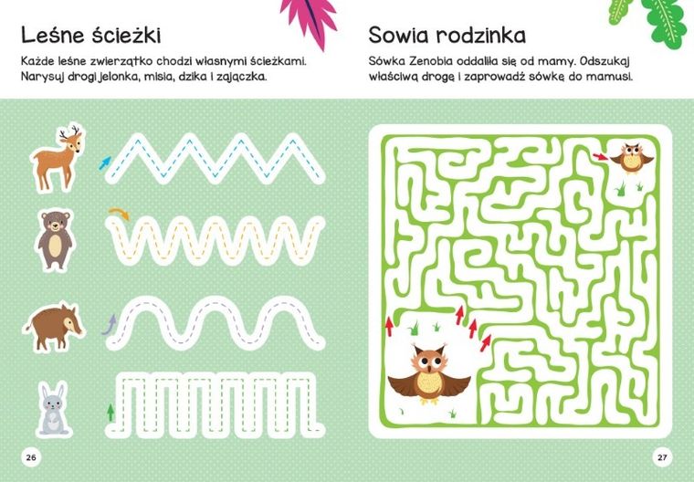 Łamigłówki przedszkolaka z wiewiórką od 5 lat