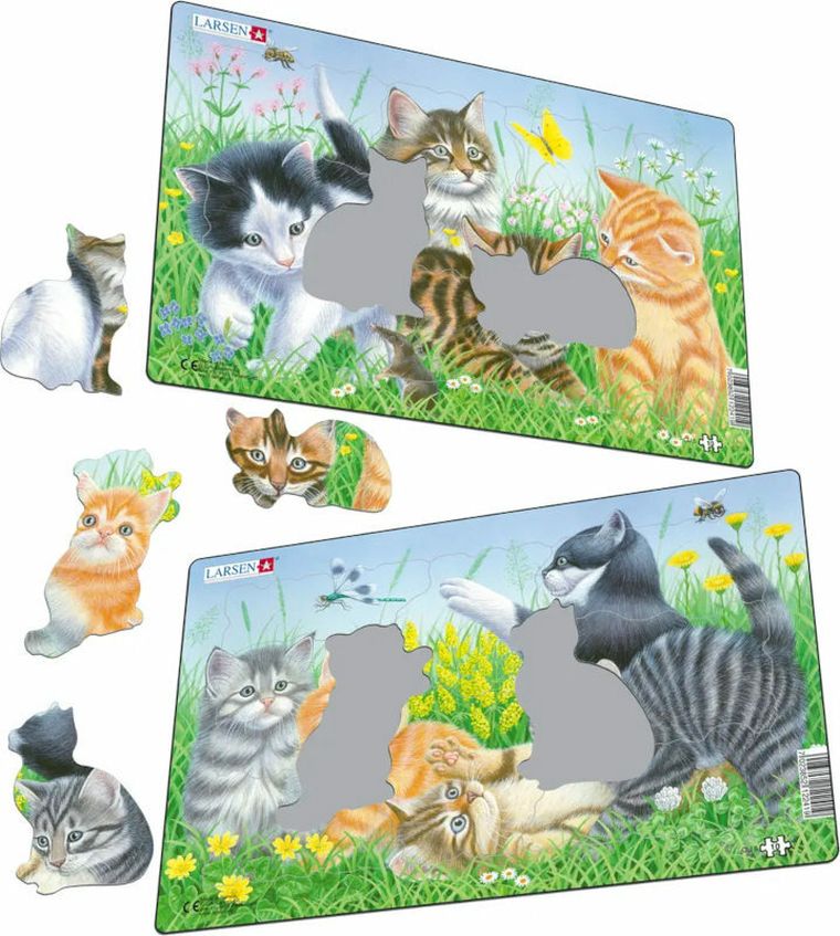 Larsen, Słodkie kociaki, puzzle ramkowe puzzlowa, 10 elementów