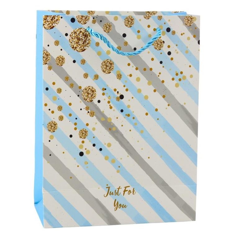 Lean Toys, torba prezentowa papierowa, niebieska, różowa brokat, 23-18-10,5 cm, 1 szt.