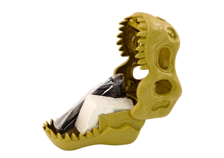 Lean Toys, wykopaliska archeologiczne, dinozaury