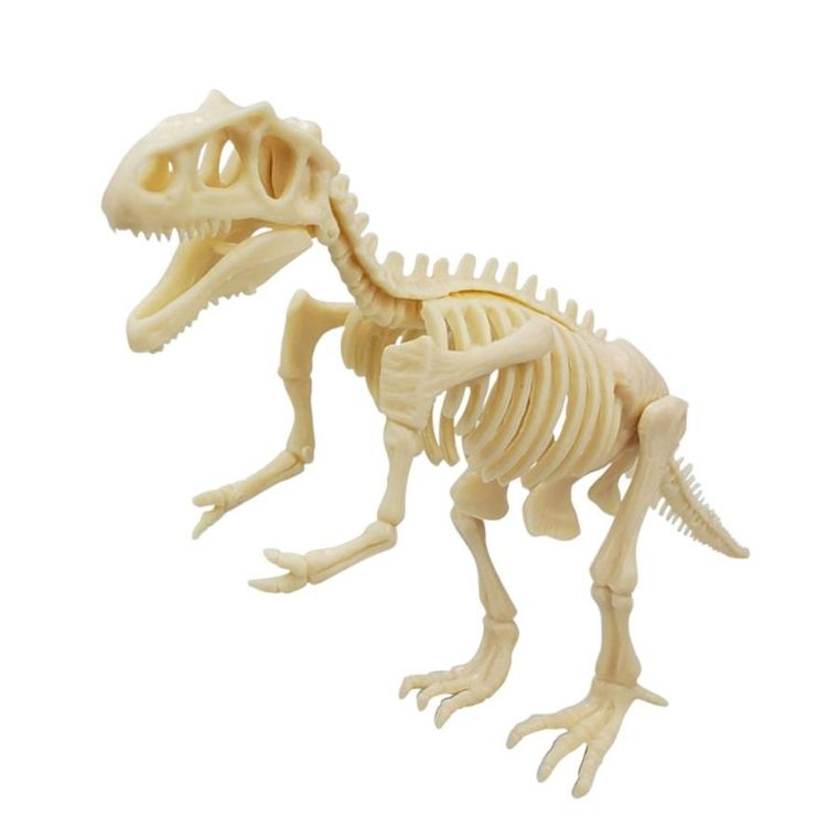 Lean Toys, wykopaliska szkielet i narzędzia, fluorescencyjny dinozaur