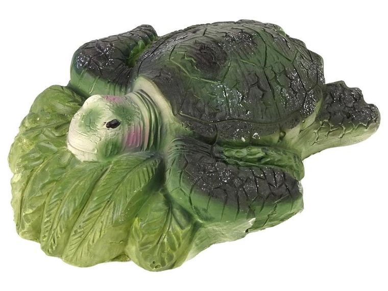 Lean Toys, wykopaliska, żółw