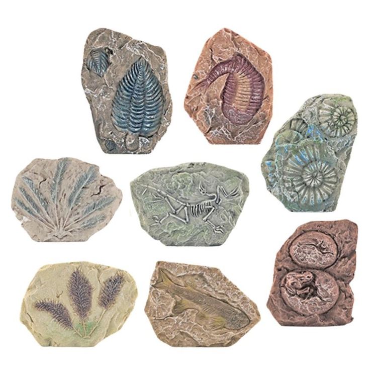 Lean Toys, zestaw paleontologiczny, wykopaliska z narzdziami