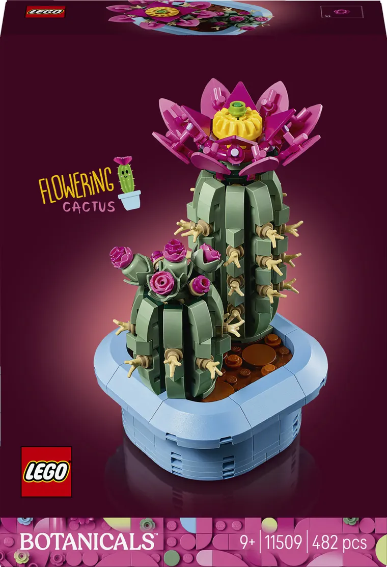 LEGO Botanicals, Kwitnący kaktus, 11509