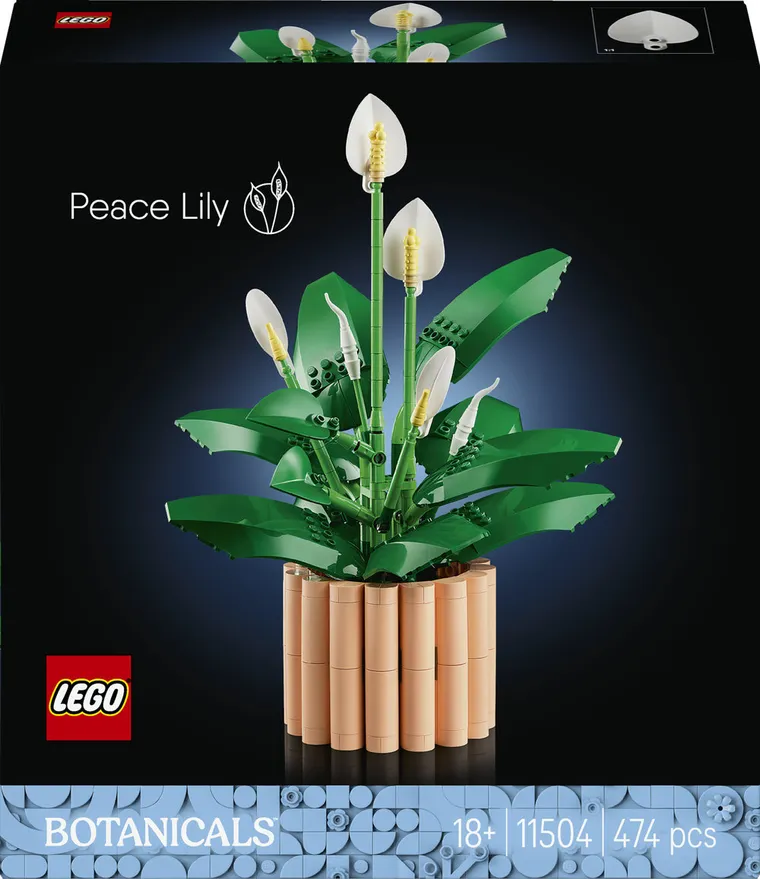 LEGO Botanicals, Skrzydłokwiat, 11504