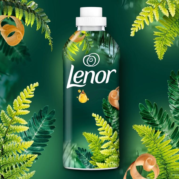 Lenor, Cedar Wood & Pine Tree, płyn do płukania tkanin, 925 ml