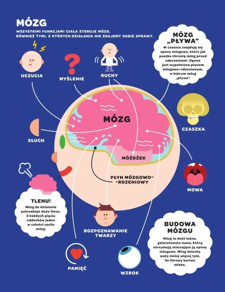 Leon i Lena poznają ciało człowieka